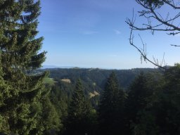 emmental 20195